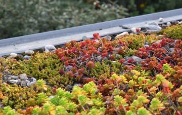 the cost of Cockenzie And Port Seton green roof installation