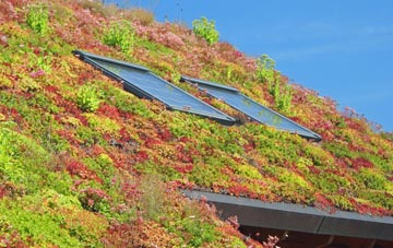 Cockenzie And Port Seton living roof systems