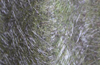 Cockenzie And Port Seton fibreglass roof work